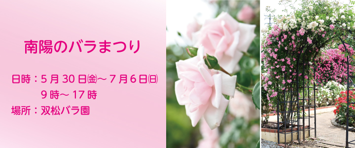 南陽のばらまつり