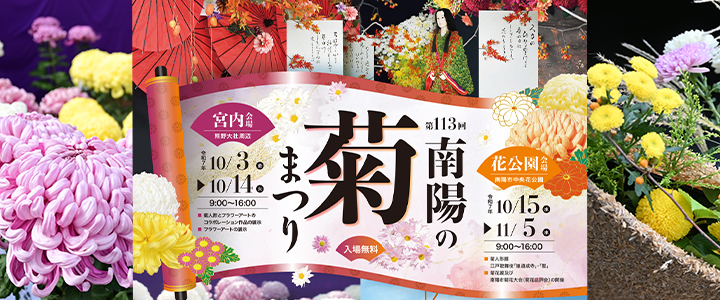南陽の菊まつり